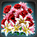 30998.png?rnd=1780480938